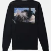 Burton Heavyweight Photo langermet T-skjorte