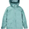 Burton Treeline GORE-TEX 2L-jakke for kvinner (prøve) Burton Treeline GORE-TEX 2L-jakke for kvinner (prøve)
