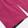 Burton Year of the Horse Cavalry 3L GORE-TEX bib-bukser for kvinner