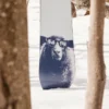 Burton Yeasayer Flying V snowboard for kvinner Burton Yeasayer Flying V snowboard for kvinner